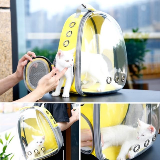 5 Colors Breathable Small Pet Carrier Bag for dog cat Portable Pet Outdoor Transparent Travel Backpack Dog Cat Carrying Cage